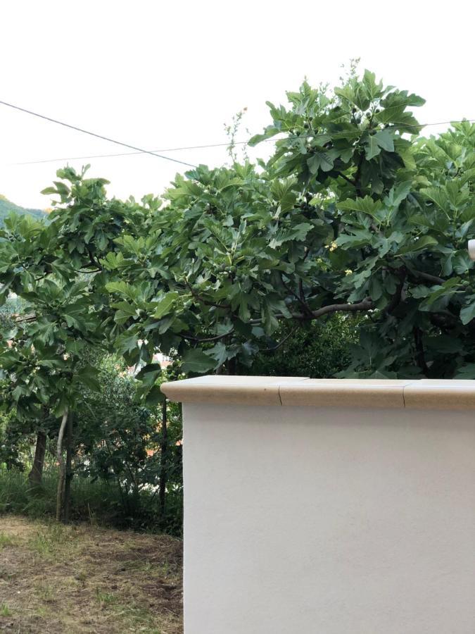 A Cammarella Holiday House Pianillo Exterior foto